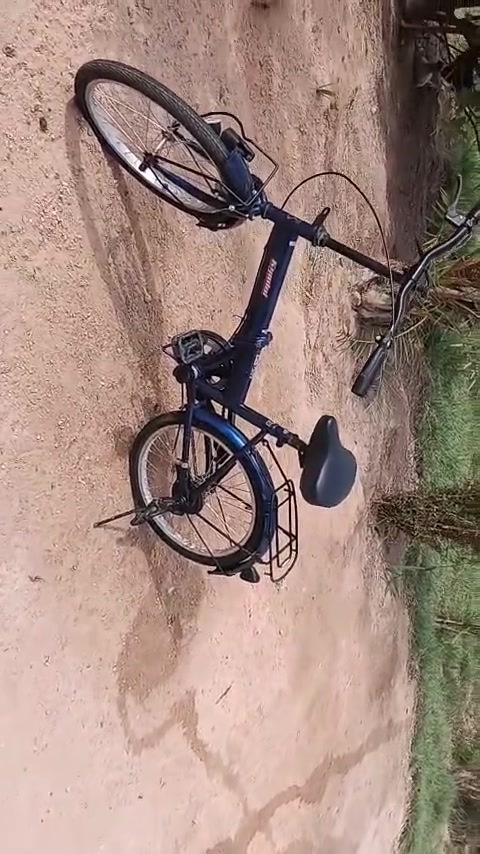 بسكليت • كربلاء