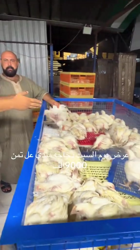 السلام عليكم 
شباب عرض يوم سبت يم مطبخ شيف علي الصريفي 
دجاجه مندي ب9 
من الساعه ال10 صباحا الساعه 5 عصرا متواجدين الاتصال على ***********
