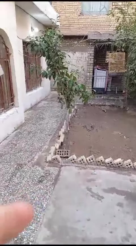 دار للبيع طابو صرف بغداد جسر ديالى شارع ٧٠ المساحه ٢٨٠  خلفي  كامل الخدمات مي كهرباء مجاري تبليط *********** بيع او امراوس بيت زراعي  مساحه  من ٥٠٠ اوفوك
