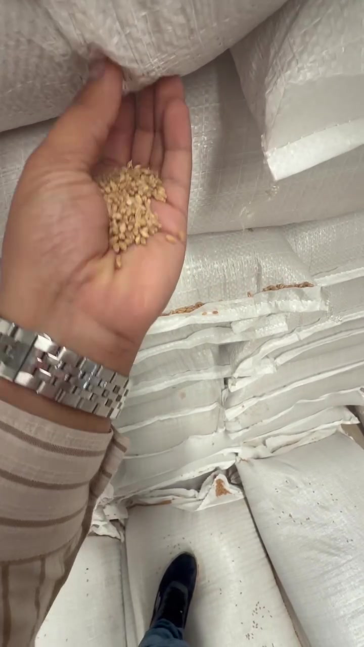 حنطة نزار بنت مغلف • أول سنة مزروعة • واصلة لجميع المحافظات