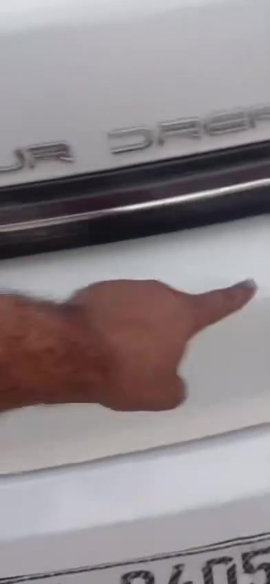 بي واي دي • باقي الكفالة • ٤٨٠٠٠ كم