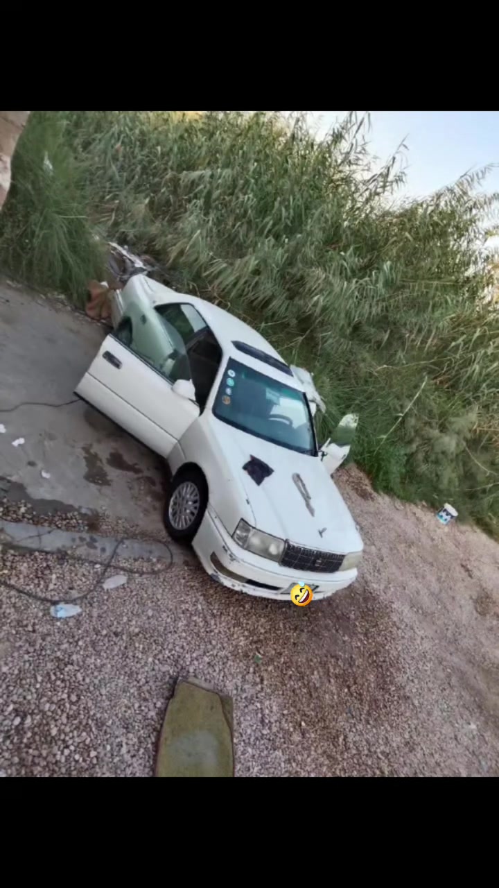 ***********.   ***********.   مراوس ملكه
