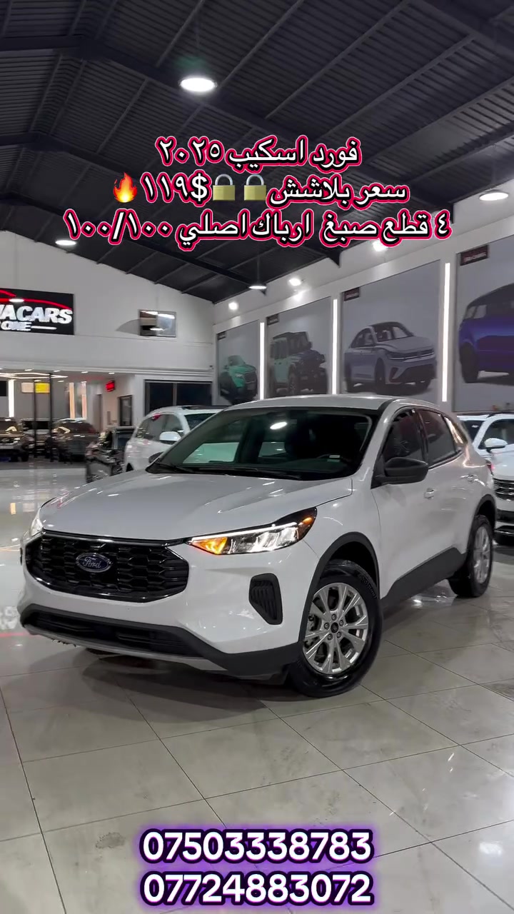 قفل • رقم اربيل • ١٢ ورقة