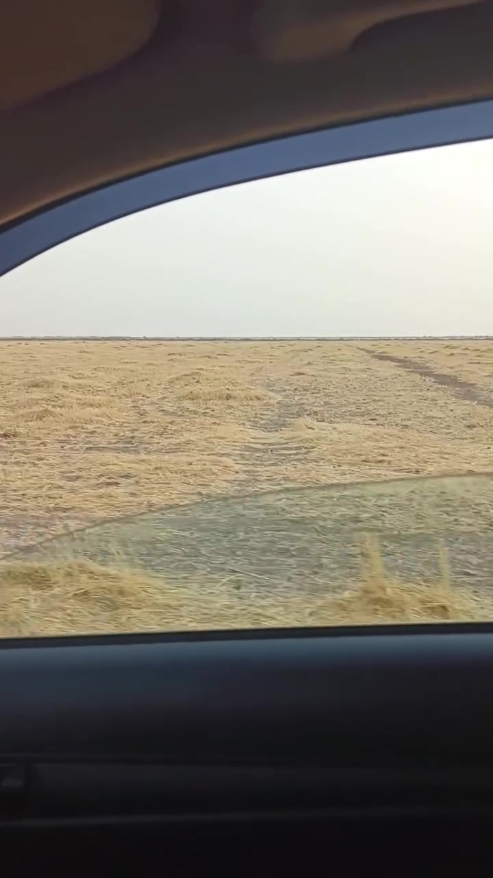 السلام عليكم جلة للبيع مساحة ٥٠٠دونم قرب سيطرة بغداد كوت خلف معامل طابوق الاستفسار ***********
