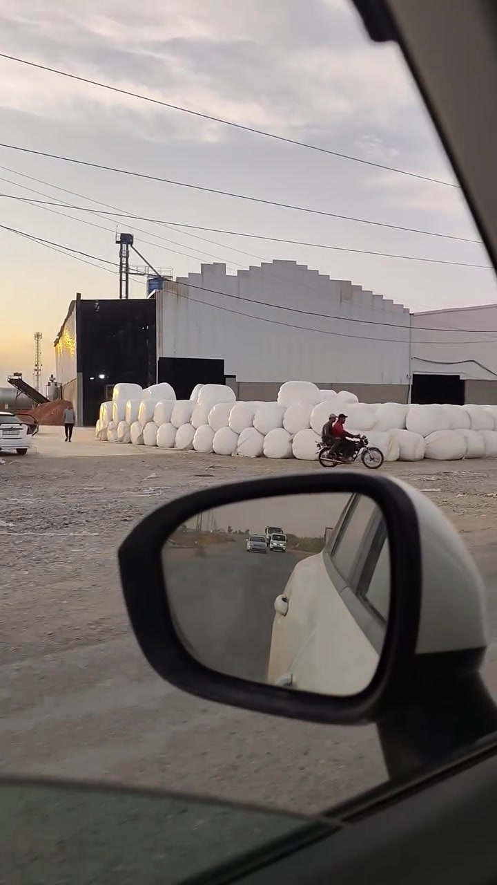 خيرات الحويجة • سيلاج ذرة • علف مواشي