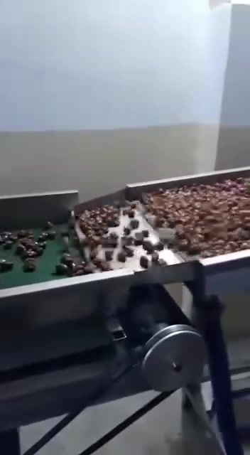 يالله
