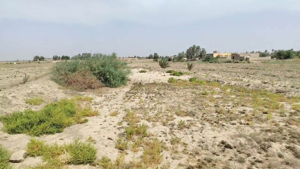 ٨ دونم • واجهة شط ماي • سند ٣٥