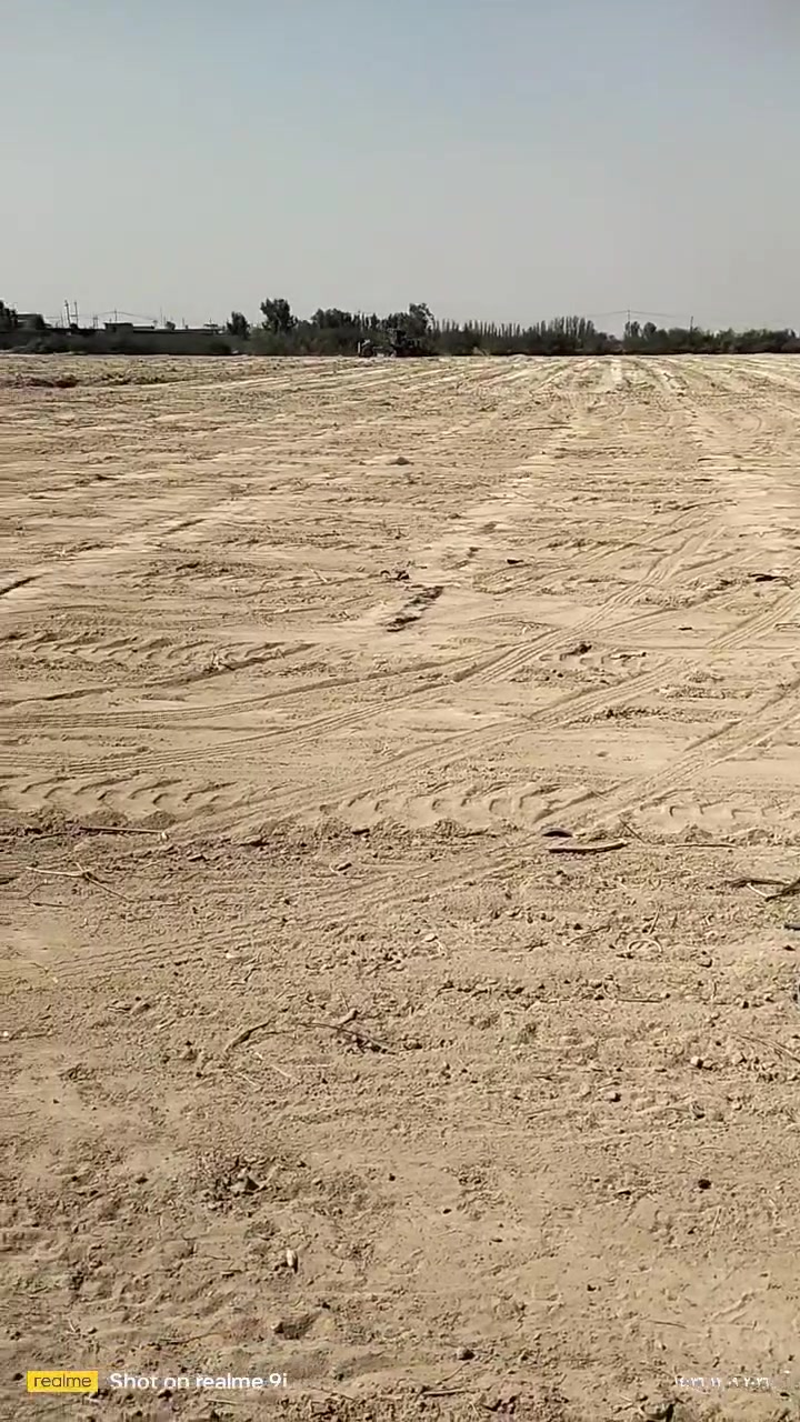 ١٣ دونم • خلف الحسينيات • مواكب حسينيّات