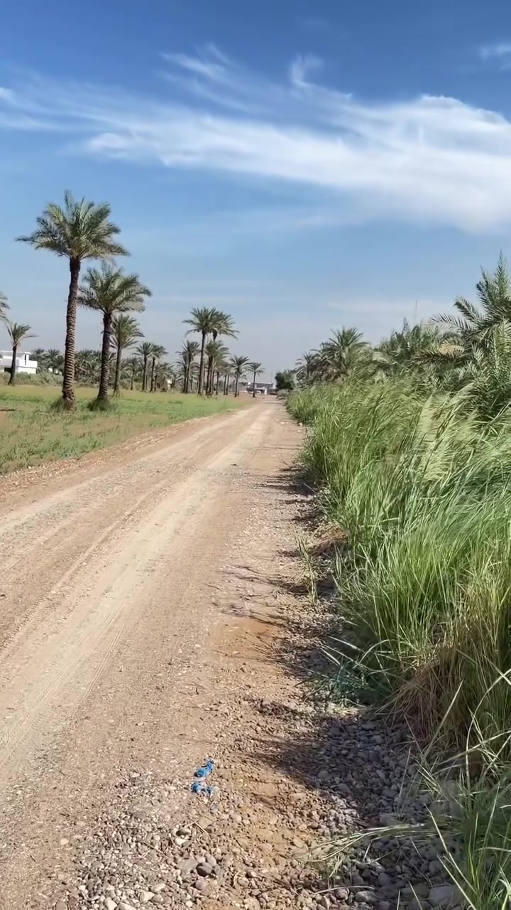 طابو صرف • دونمين • سلمان باك
