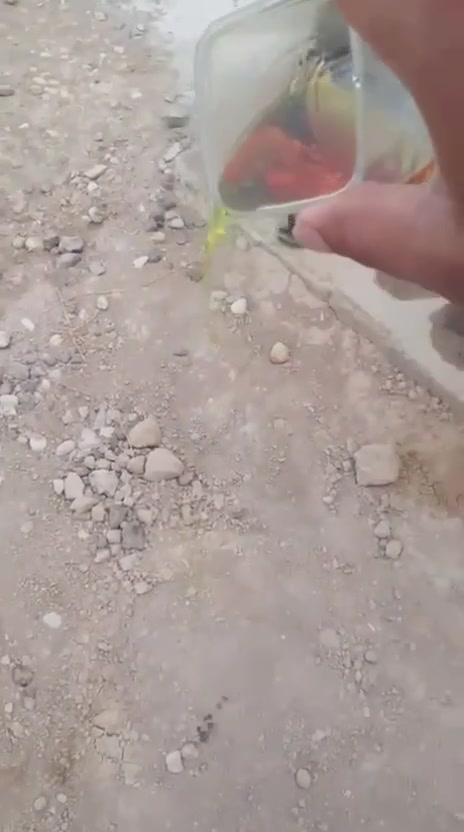 احمر خفيف
اصفر خفيف 
واصل كرخ ورصافة 
كميات من ١٠ الاف الى ٣٦
***********
