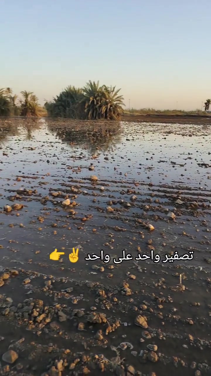 السلام عليكم جاهزين لتسويت الأراضي الزراعيه بأتقن الاجهزه ليزر نشتغل جميع المحافظات
***********
