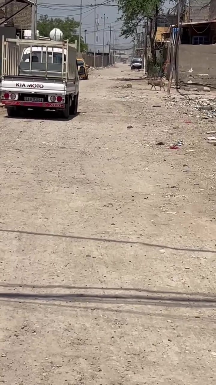 ‏*********** لبيت جاهز ماي وكهرباء بس جيب غراضك وكعد

