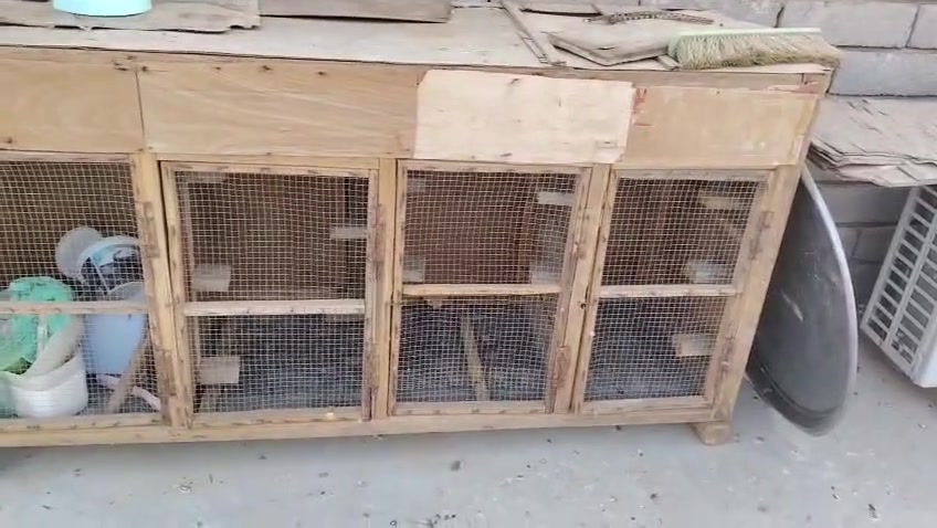 سلام عليكم شباب خنات للبيع سعرهن خاص نضيفات مكاني بصره قضاء المدينه اهوير *********** اليرد ينتصل وشراي ابخدمته
