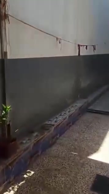 قطاع السادس. قريب، على فرع يوسف، اليعقوب. إيجار 200 وبي. مجال.
رقم الهاتف ***********
                 ***********
