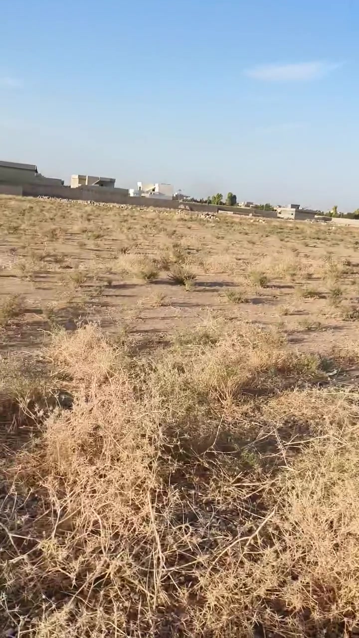 السلام عليكم قطعتين طبك ركن بكاع العدوان مساحه القطعه 270متر سعر القطعه الواحده 8مليون ***********
