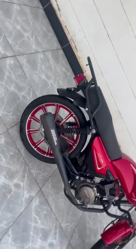 شاينك • ٢٠٢٤ • ١٠٠٠٠