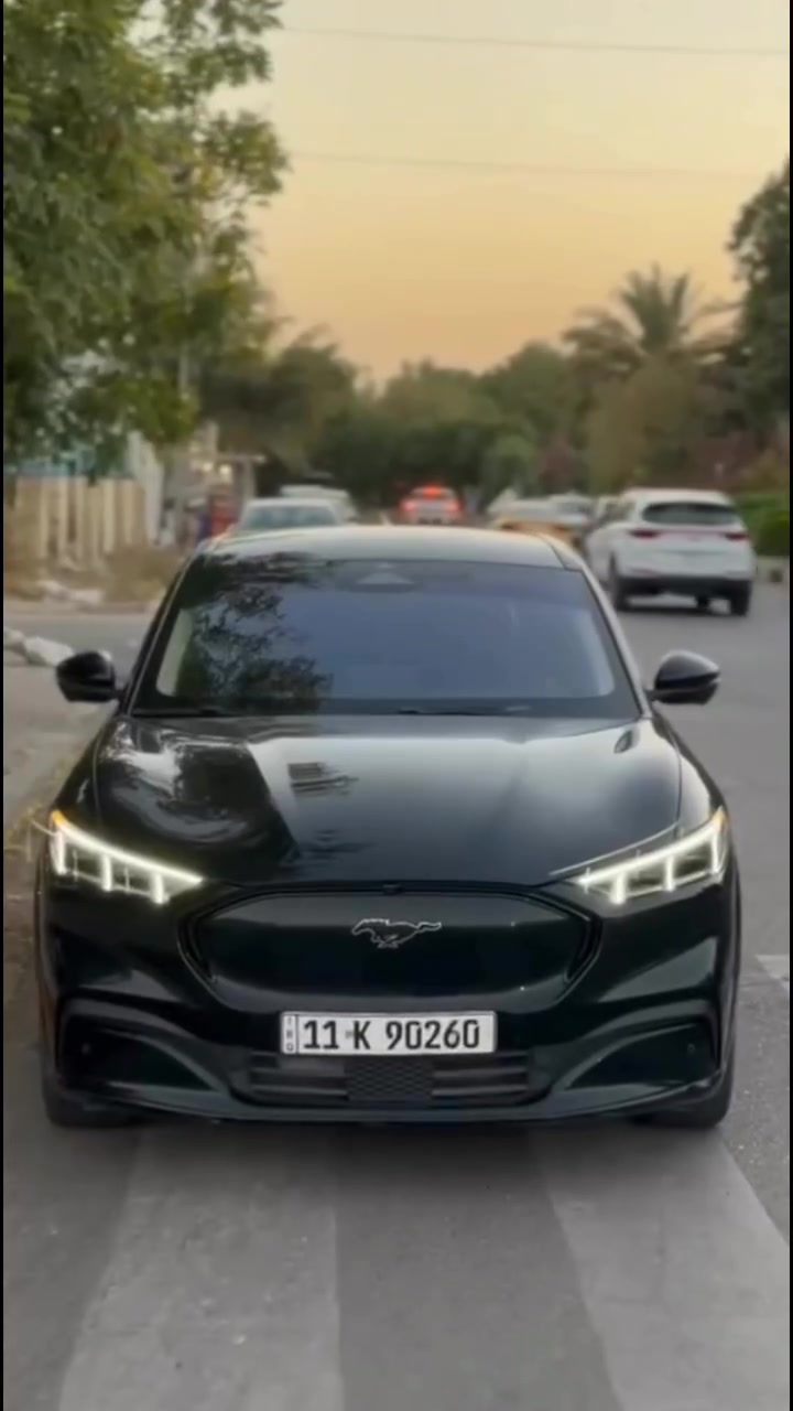 موستنك ماك اي 2023  كهرباء بالكامل 
موصفات بريموم  

💎ــسعر✅:: الــرد تلقائــي📮

رقم التواصل::***********
