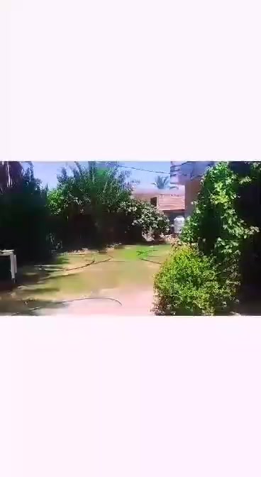 بيت للبيع مساحه البيت 500 
يحتوي عل 2 غرف نوم
مساحت الغرف 
غرفه الاولئ 5×4
غرفه الثانيه 5×4
الصاله 4×10
الاستقبال 4×10
المطبخ 3×7
يحتوي عل مجمع صحيات 
خارجيه وداخليه 
ويحتوي عل حديقه +طرمه 
*الموقع الحمزه الغربي  شارع حسينيه حجي شاكر ابو لحيه 
رقم الهاتف ***********