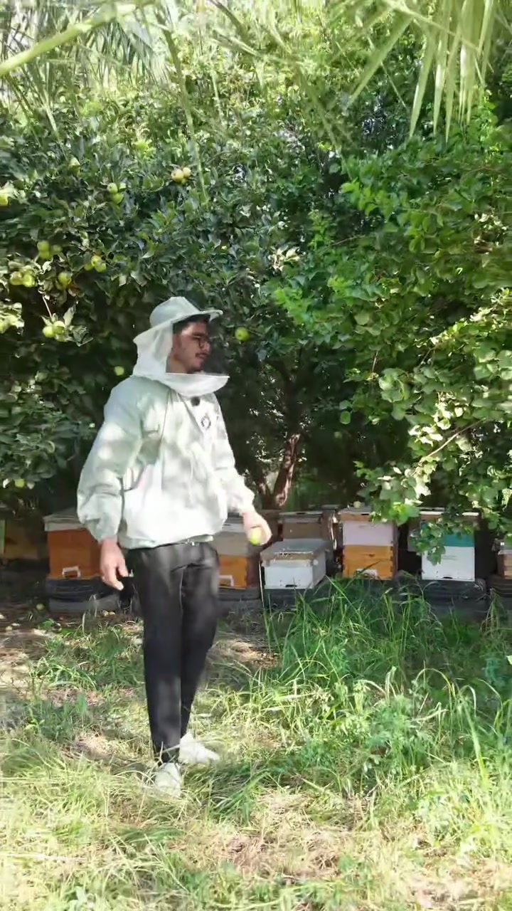 بفضل الله تم فرز جميع مناحل احمد رائد الحياني 🐝 المجازة رسمياً من وزارة الزراعة
مناحل احمد رائد الحياني  
✅ عسل طبيعي خالص 100%
🐝 من الخلية مباشرة إلى بيتك

💰 الأسعار:

* الشيشة الكبيرة: 30,000 
* الشيشة الوسط: 15,000 

متوفر خدمة توصيل 🚗لجميع المحافضات ب5
داخل الانبار ب3

📞 للحجز والاستفسار:
***********

📍 العنوان:
الأنبار – الرمادي – نهاية شارع الصياغ مجاور السيطرة 

🌿 جودة مضمونة وطعم أصيل من إنتاج المناحل مباشرة. أهلاً وسهلاً بكم. 🍯🐝

 #مناحل_احمد_رائد_الحياني
 #عسل_طبيعي
 #شمع_العسل
