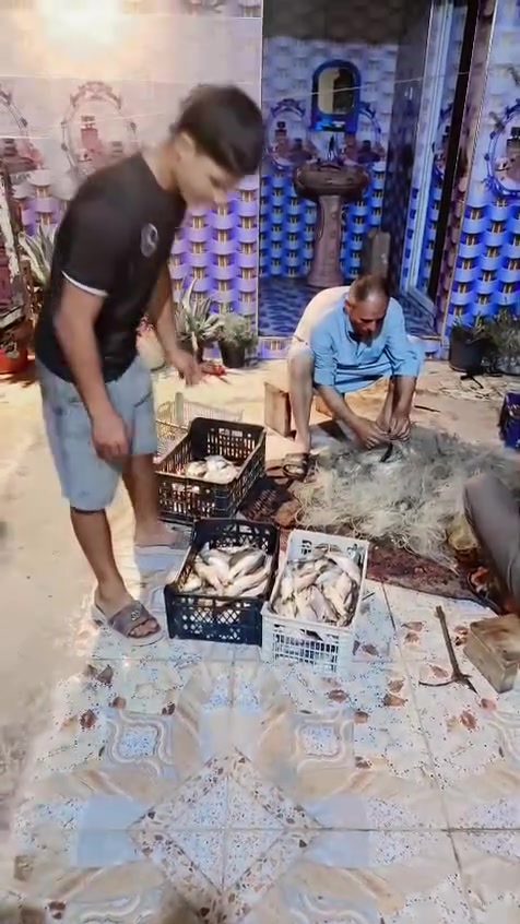 سمج زوري • جديد اليوم • ٦ كيلو