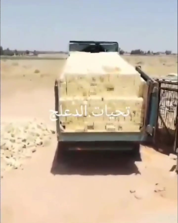 السلام عليكم يتوفر تجهيز طابوق الجمهوري معامل النهروان باسعار تنافسيه للستفسار اكثر ***********
***********

السلام عليكم يتوفر تجهيز طابوق الجمهوري معامل النهروان باسعار تنافسيه للستفسار اكثر ***********
