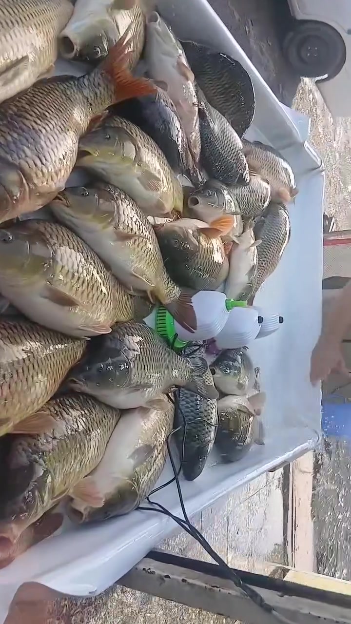 التنضيف • توصيل • الحمزه