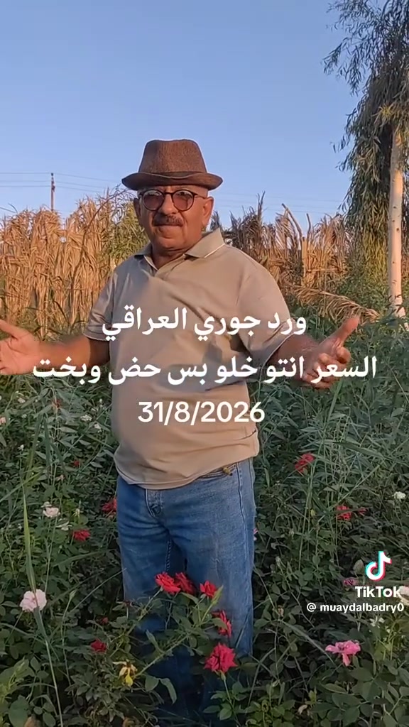 �✨ حوّل مساحتك إلى لوحة من الجمال مع مشتل ومنحل كاردينيا ✨🌿
إذا كنت تبحث عن لمسة فخامة وأناقة لحديقتك، فنحن في مشتل ومنحل كاردينيا نقدم لكم كل ما يلزم لتحويل أي مساحة إلى مكان ينبض بالحياة والجمال.

نحن لا نزرع أشجاراً فقط… بل نصنع مساحات تمنح الراحة والجمال وتترك انطباعاً لا يُنسى. 🌳🌺

📍 زورونا في مشتل ومنحل كاردينيا  
الموقع ديالى بعقوبه التحرير مقابل بيت كمبش والفرع الثاني بكاطون الرحمه للاستفسار الاتصال على الرقم ***********
