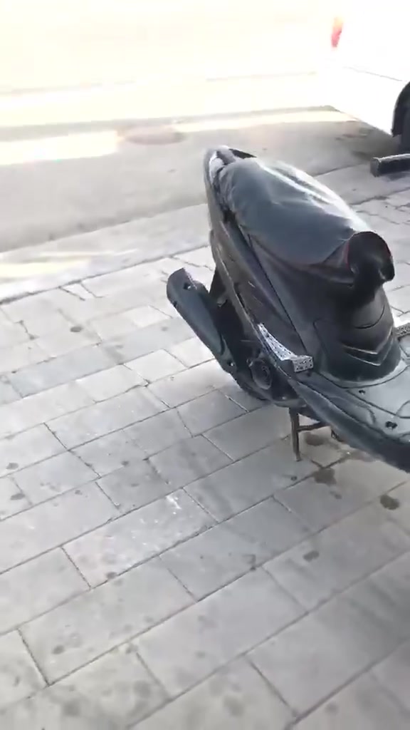 نضيف • معدل • بصره