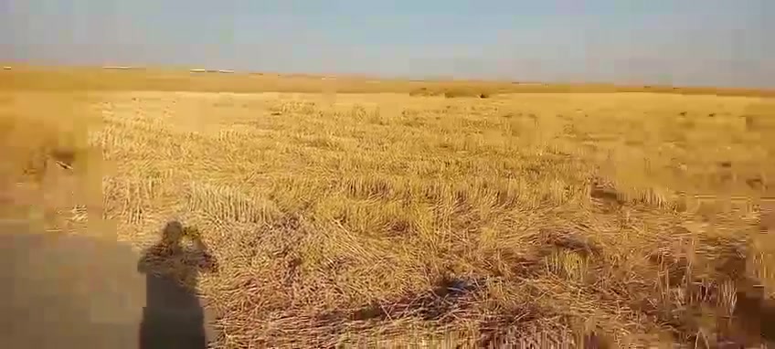 بسم الله الرحمن الرحيم
يوجد قطعة ارض للبيع 
مطلة على التبليط إلي نازل 
مخدومه بالماء والكهرباء
المساحة ٧ دونم 
وطريق ينزل عليها من الشارع العام محطة الديره إلي تصير بالنايفه موقع راقي ترهم سكن وترهم تجاري 
طريق ينزل عليها من مجمع بيت طه الدلي قريب المحكمه وقريب موقع المستشفى الجديد وقرب محكمه ناحية اشور. 
السعر مناسب جدا اتصل وتدلل
 ***********
