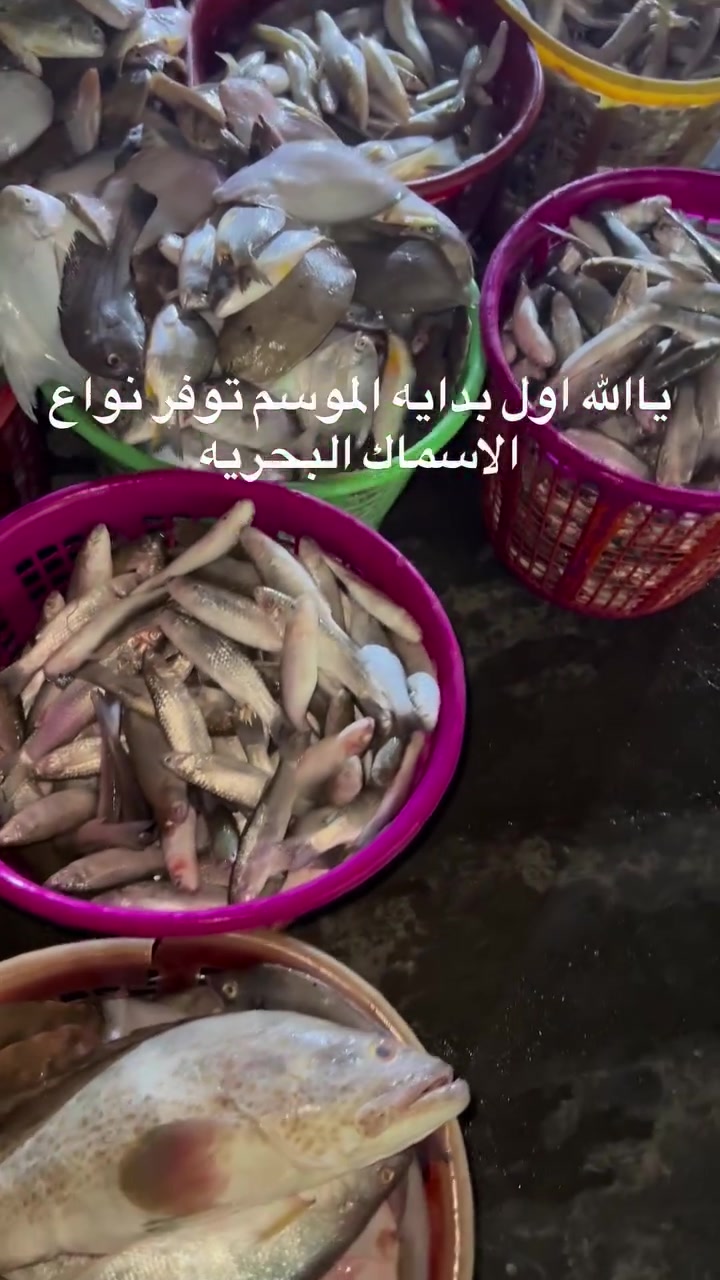 #اكسبلورر #البصرة #اكسبلور #ترند #اسماك_الفاو_البحريه الحجز الطلب واتساب ***********
