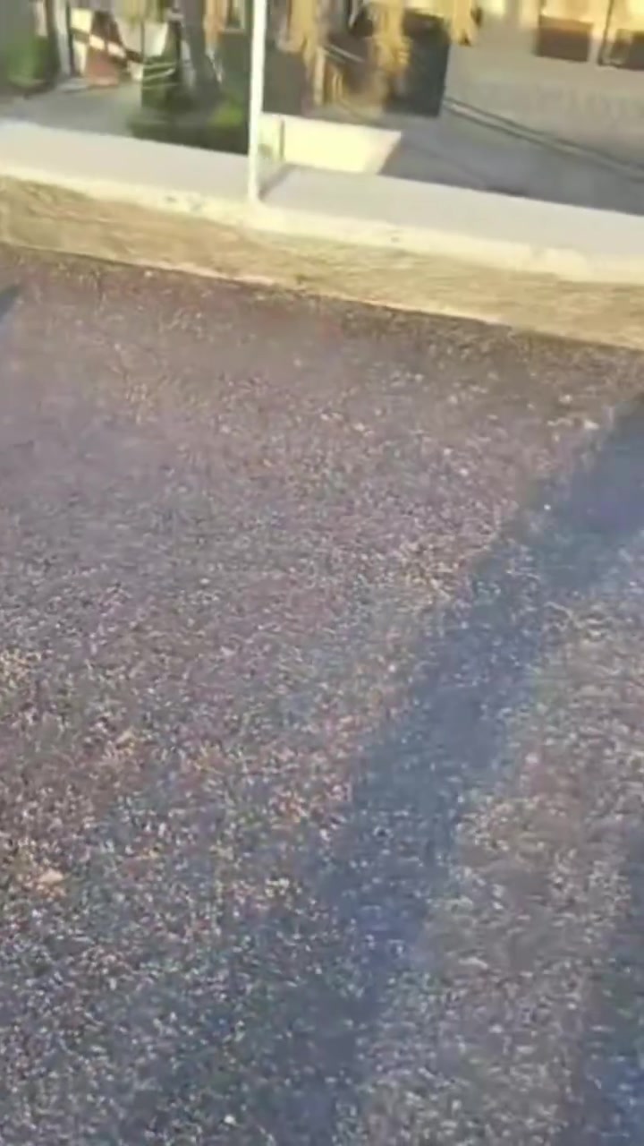يا الله مستعدون  في عملنا لتطبيك كافة الاسطح🏠
كرستة وعمل او بس عمل ع المتر من التنضيف_والفلانكوت والزفت _والبناء_ والمزيج _والماستك_ونايلون _ملاحضا👌🏻شتايكر السماوه شرط فحص العمل مهندس👷‍♂️..وضمان النوعيه✅ ما نستلم فلوس💵 لمن تقتنع بالشغل وتفحص ماي بأسعار مناسبه💯 مكاني الناصرية الاستفسار أكثر ماراسله الصفحة او الاتصال على الرقم التالية📲***********
‏‪***********‬‏
