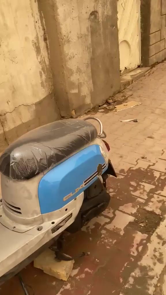 بوليسي • البصرة الزبير • 3اشهر