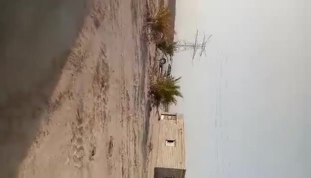 ٢ دونم • بيت ٤ غرف • ٤٠ نخلة
