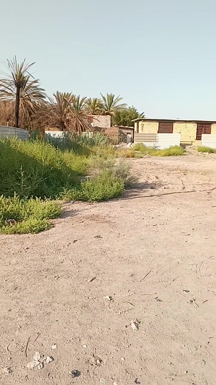 سلام عليكم للبيع قطعة أرض مساحة 144 نزال 12 واجهه 12 عنوان الأرض المدائن قررب نقطه دالة مقابيل الحردانية متوفر ماء كهرباء مجاري انترنيت عليهه 5 شوارع خدمية صنف الأرض طابو زراعي 25 تواصل واتساب فقط ***********

