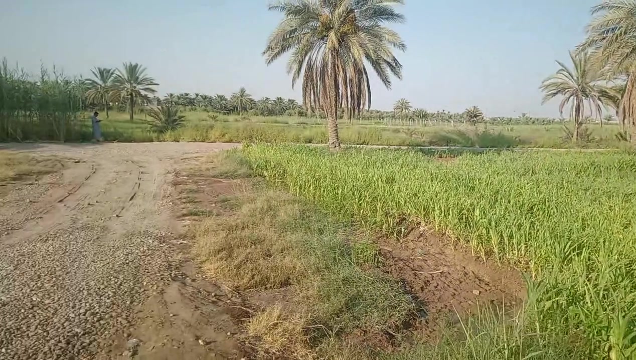 يالله
دونمين وبيهن بيت
جويميسه الغربيه
تبعد من سده 500 متر شارعه سبيس
كافت الخدمات مدرسه جديده تبعد منه 100 متر
بيت حديث بيه
غرفيتن
وصاله
ومظيف
ومطبخ
اكثر تفاصيل بل فيديو
يرهم مراوس بيت بل عسكري مرتب حسب التفاف ومعه فرق
للاستفسار الاتصال على الرقم ***********
