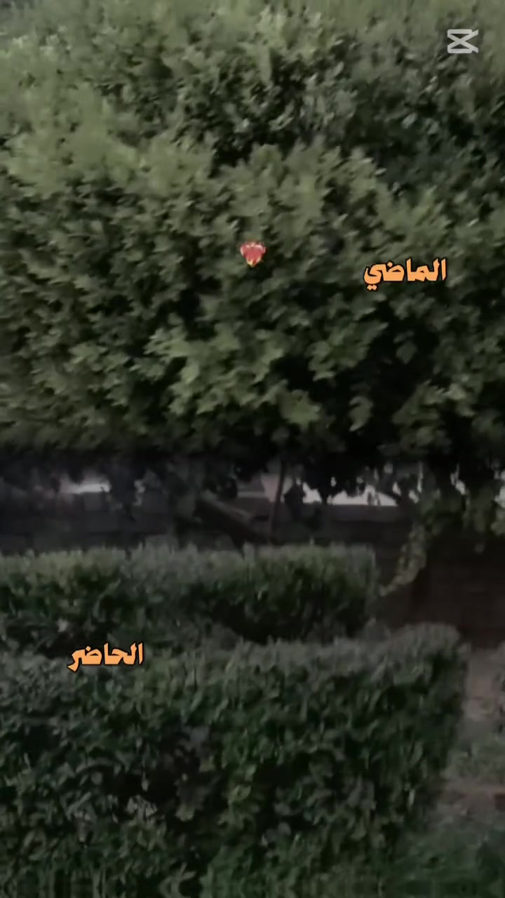 سلام عليكم أنا أعرف كلشي يخص لحدائق من تقليم الاشجار و ترتيب لحدائق  تقليم الياس او غيرها من الترتيبات تخص الحدائق وحسب طلب زبون لي يريد أرتب حديقته يكدر يتصل علا هاذا رقم ***********
