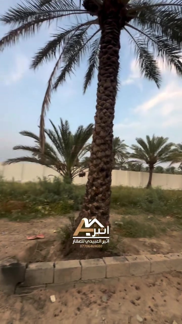 دونم • بغداد الراشدية • مزرعة