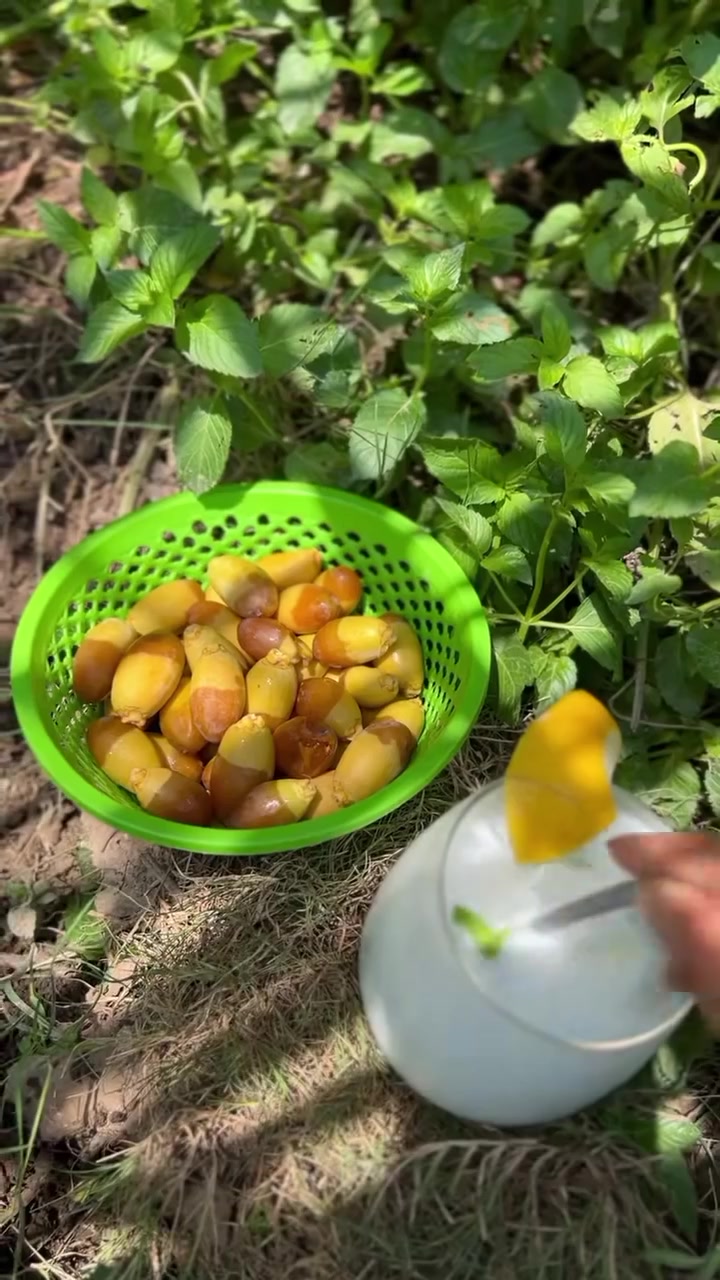 سلاح المقاومه لايسلم 😎 تريد تعال اخذلك تمرات ولبن من محاصيل الصويرة.

🌴 سلة تمر عمراني + بطل لبن عرب، تريده حامض أو تريده مدخن، كل هذا بسعر 3,500 دينار فقط.

📩 للطلب والاستفسار يرجى مراسلتنا عبر بريد صفحة محاصيل الصويرة أو الاتصال على الأرقام التالية:

📞 *********** (يتوفر واتساب)
📞 *********** (يتوفر واتساب)

