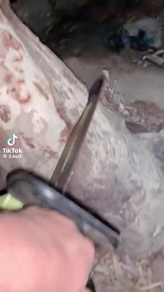السلام عليكم حبايب اي واحد  يريد  يكص 🌲شجر   موجود   هذا رقمي .  ***********
