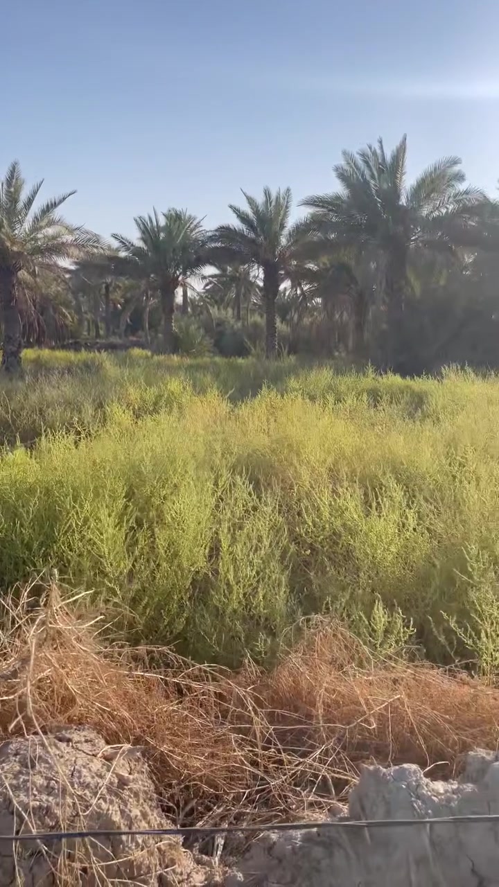 دونم  3للبيع عقد 35في كربلاء ‏منطقة الزبيليه ‏الواجهة100 ‏تبعد عن الشارع 500 متر طريق الرابط الاتصال/*********** /***********
