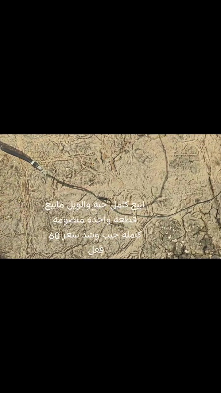 سلا عليكم غراض #دراجة ثعلب  كلهن كدامك الغراض والتفاصيل والسعار موجوده على #الصور  
العنوان (#البصره #قضاءالدير)
(يوجد #توصيل) 
#لتواصل على #الرقم ***********
متواجد فقط #واتساب
