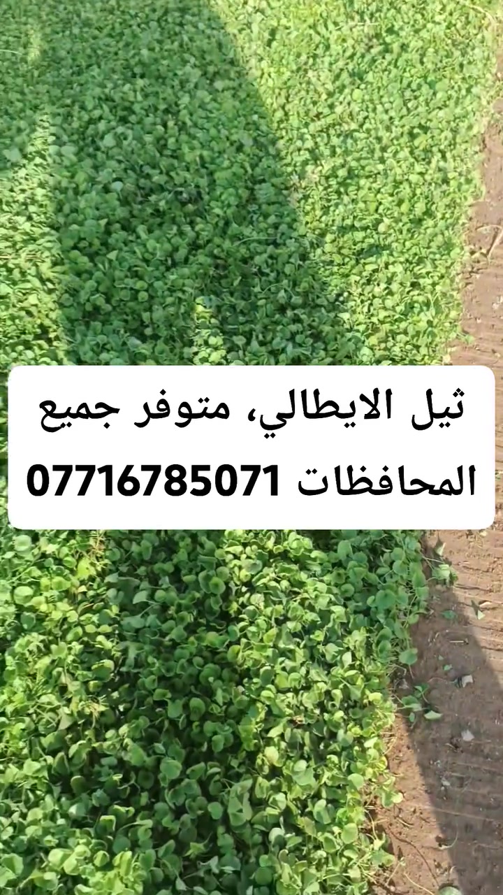 بستنة • تنسيق حدائق • صيانة حدائق