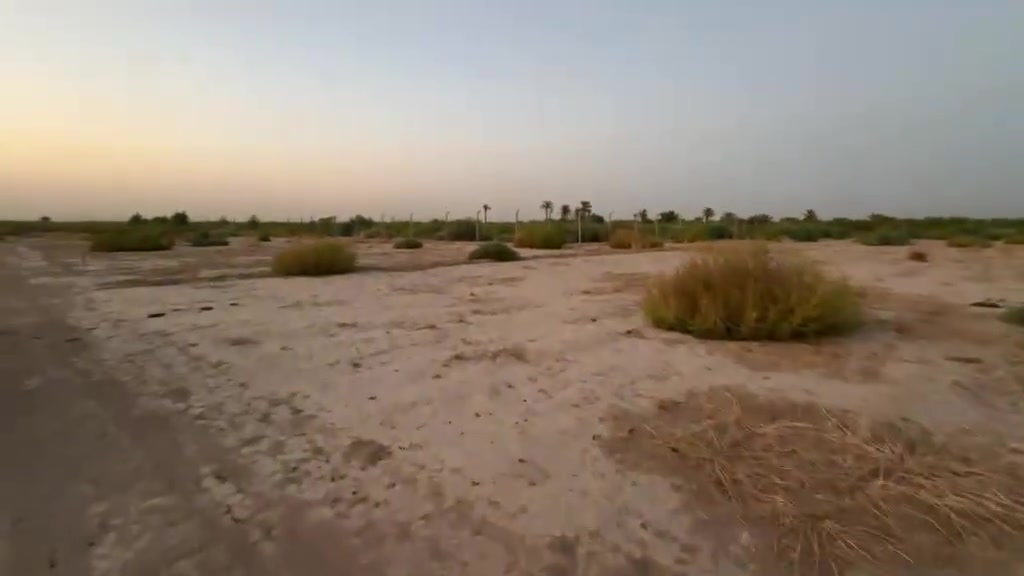 السلام عليكم دونمين للبيع تريد واحد او ثنين جنس الارض زراعي سند ٢٥فتح بيان وتحويل واجهه الدونم الواحد ٢٥ نزال الدونم ١٠٠متساوي  الاضلع  شارع عرض ٦متر مكان الدونم بغداد بوب الشام  السعر اتصل واني حاضر ***********

