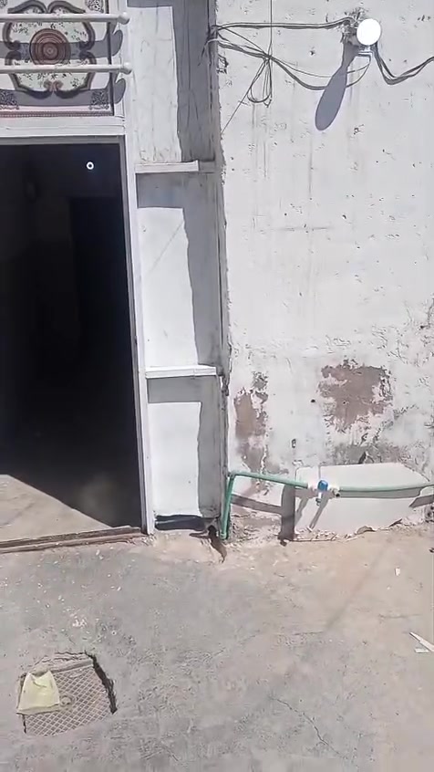 بيت للايجار في حي الوفاء قريب عله سوك هرج خلف شارع مطار تواصل واتساب عله رقم البيت ***********
