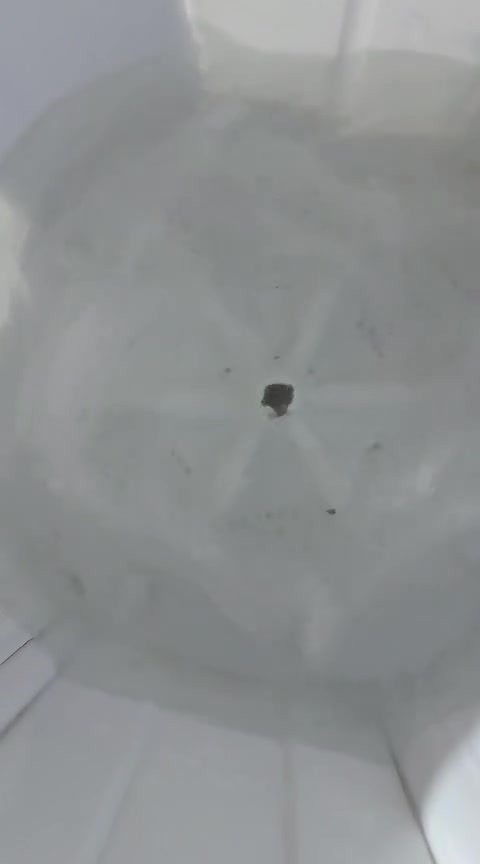هيتاشي • ١٣ كيلو • غسيل وتجفيف