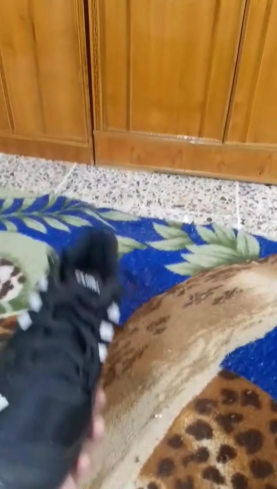 احذيه باله اصلي 
الاستفسار على الخاص او
الرقم ***********
