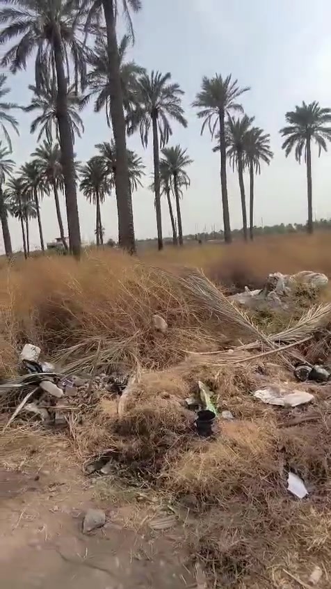 ٣ دوانم • مقابل جزيرة بغداد السياحية • طابو العظمية
