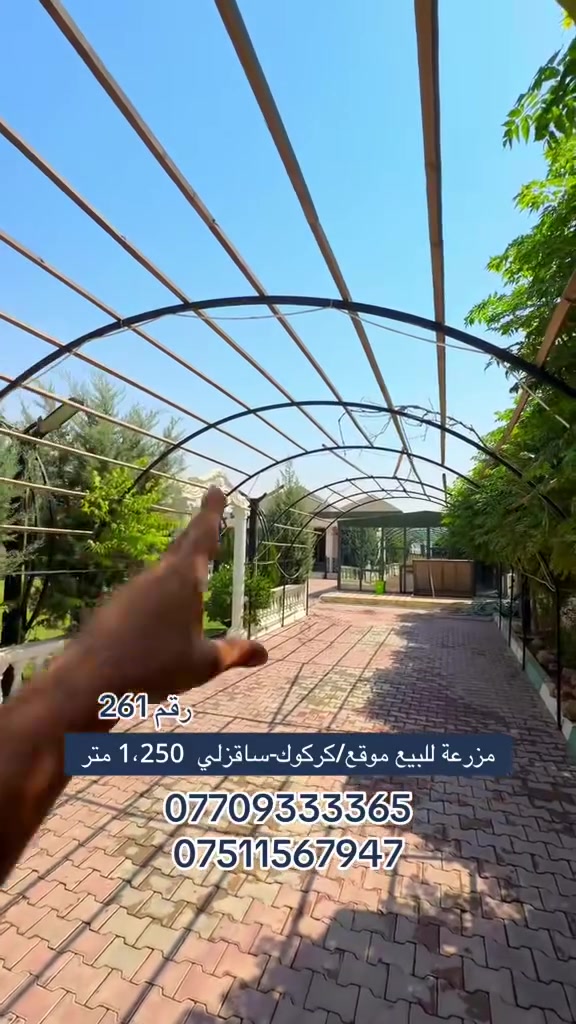 رقم 261

مزرعة للبيع موقع/كركوك-ساقزلي  
  مساحة 1،250 متر

مزرعة مميزة - خضرة، هدوء، وراحة بال بمكان يشرح الصدر. لا تفوت الفرصة وامتلك جنتك
[تفاصيل مزرعة 
‏بيت 🏡
‏غرفة 2🛌
‏مطبخ 🍽️
‏استقبال 🛋️
‏شواية 🍢
‏مسبح 🏊🏻‍♂️
‏حديقة 🌲
‏قاعد بليارد 🏒
‏مكان الحيوانات 🦆
‏موجود أغراض بيت 🏠 
‏ بير ماي 🚰و مولدة 💡 كهرباء ⚡️ 

‏للتفاصيل أكثر خابر أرقام الموبايل 👉🏻

/بأمكانكم زيارة مكتب (عقارات دارمان)
‏عنوان على طريق كركوك أربيل بصف مشتل محمد
للاستفسار والمزيد من المعلومات :اعجاب ومراسلة عبر الصفحة او اتصل بالارقام التالية:
‏***********
***********
***********

//اسهل واسرع طريقة لبيع و شراء عقار.... اذا لديك منزل او شقة او ملك تجاري في كافة مناطق كركوك ارسل لنا معلومات العقار والصور برسالة الى فايبر او واتس اب او اتصل على ارقامنا اعلاه
