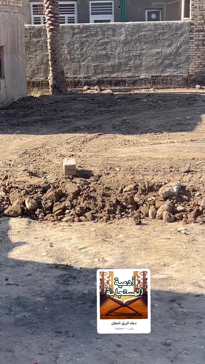 طابو زراعي • سند ٢٥ • خلف مدرسة بابل