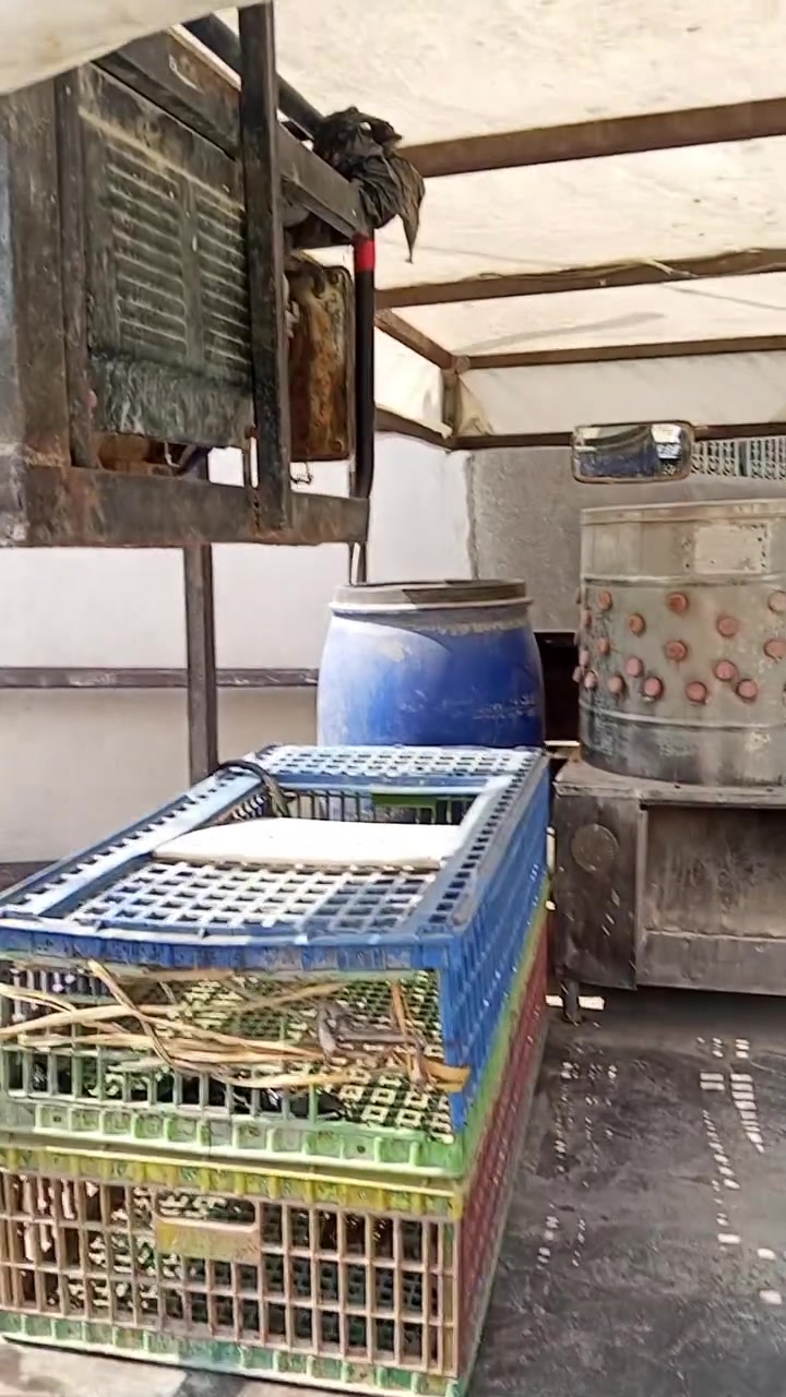 دجاج جاهز • غراض دجاج • قرب حسينيه المهدي